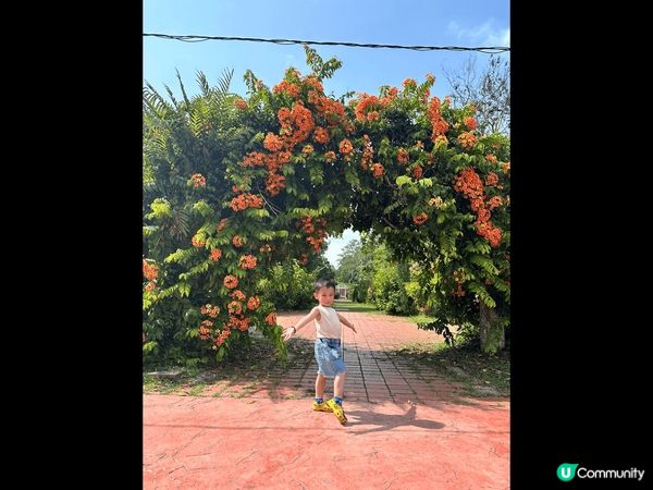 馬來西亞檳城 : 美食多 及適合親子遊玩 的寶藏地方