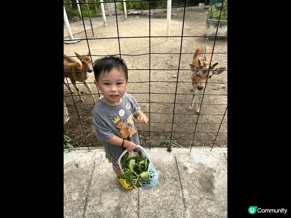 馬來西亞檳城 : 美食多 及適合親子遊玩 的寶藏地方