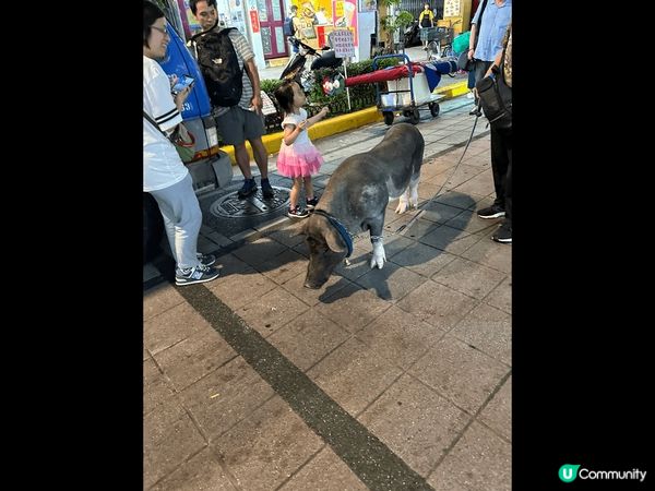 快閃台灣: 打卡白紅火鍋，湯底十分濃郁。要排好耐隊的名氣早餐...