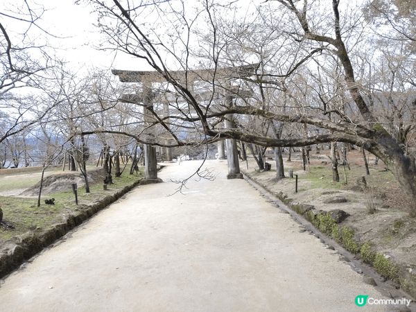 日本神社最美，很喜歡。