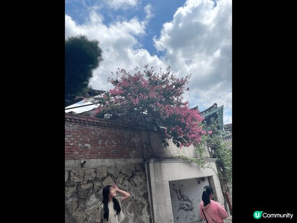 這裏是DMZ 南北韓非軍事區，當中有一個隱世打卡景點，萬里無...