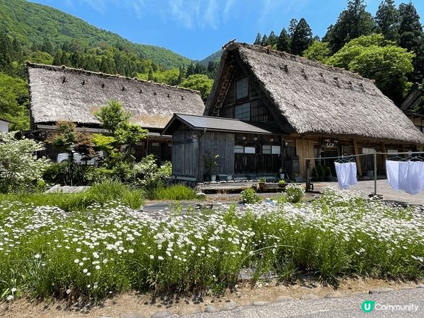 世界遺產白川鄉合掌村