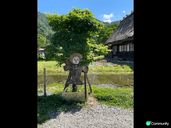 世界遺產白川鄉合掌村