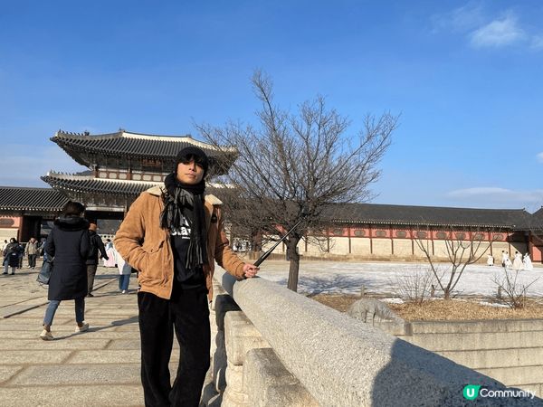 一次難忘的日韓之旅，白雪皚皚的景福宮，車水馬龍的街道，一望無...