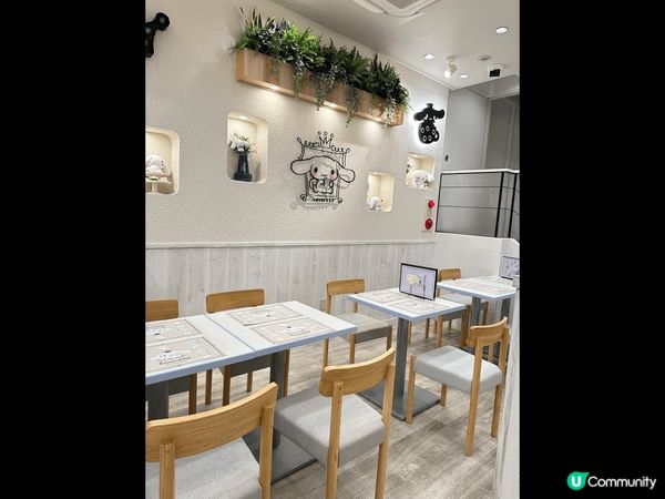 大阪有肉桂狗主題cafe, 黎到可以感受下比肉桂狗圍住既感覺...