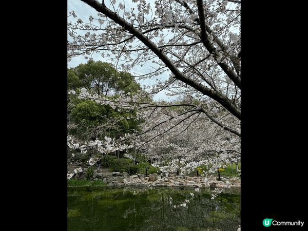 上海古城chill住遊，探討我國風土人情，文明歷史建築的好地...