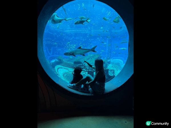 今次1抽2去咗三亞旅行，我哋當年入住咗當地最有人氣嘅酒店：三...