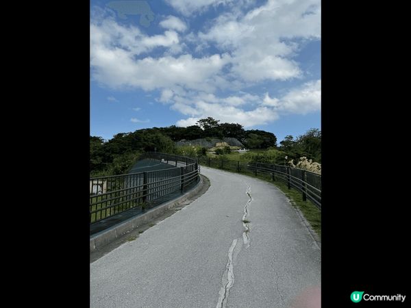 這裏是沖繩的浦添大公園