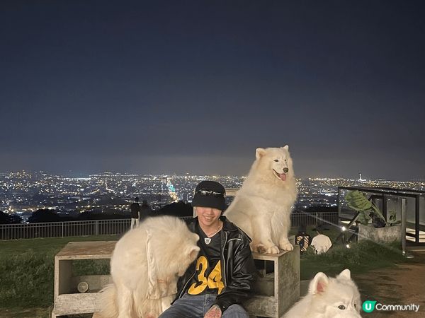 是台中的山頂狗cafe 有不同品種的狗和嘢食嘢飲 最重要有靚...