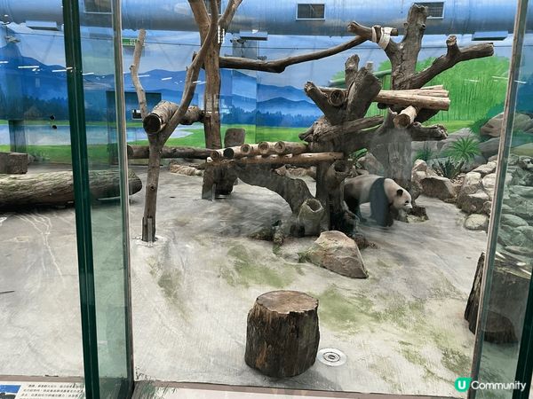 台北動物園，地方非常大，動物種類很多，大人小朋友去完都感到很...