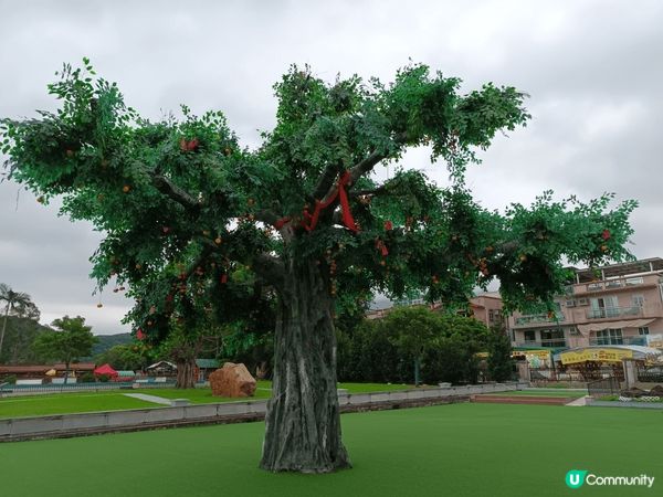 大埔林村許願樹，每個人都有自己既願望，透過掟寶蝶於樹上，希望...