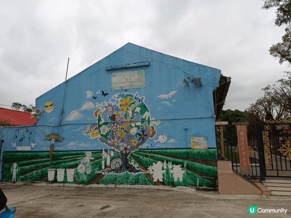 大埔林村許願樹，每個人都有自己既願望，透過掟寶蝶於樹上，希望...