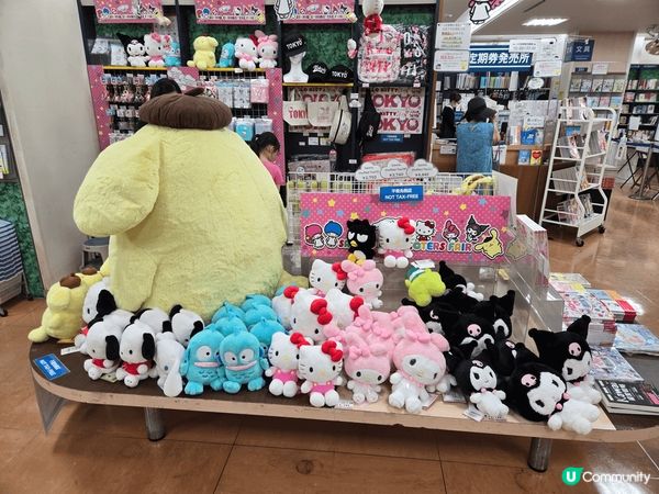 東京嘅三麗鷗彩虹樂園，小朋友玩到樂而忘返呀，表演有互動，好精...