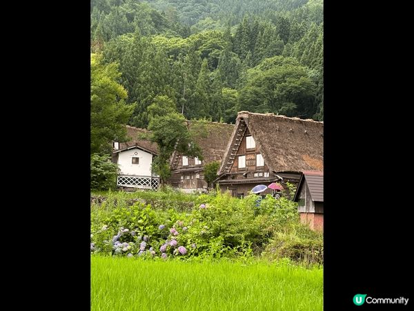 不能不去的白川鄉cafe 