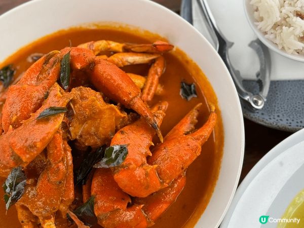 #chill嘆旅遊#紐西蘭南島#旅遊景點#無限風光