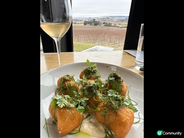 #chill嘆旅遊#紐西蘭南島#旅遊景點#無限風光