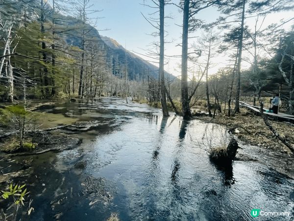 日本上高地-有好幾個景點俾你行，由大正池，河童橋，田代濕原，...
