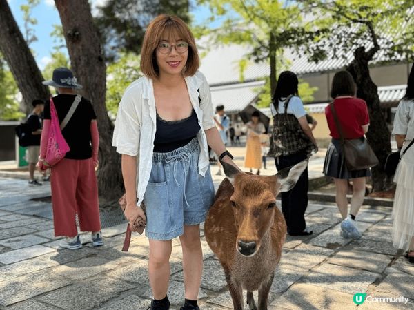 大阪城天守閣是日本之旅必到景點；黑門市場雖然比之前價格貴了，...