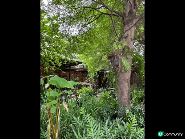 位於泰國曼谷嘅buna coffee, 環境靚好啱打卡，咖啡...