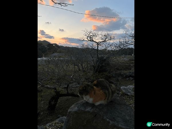 人生去過最chill嘅旅行一定係沖繩！旅遊淡季，再加上唔係商...