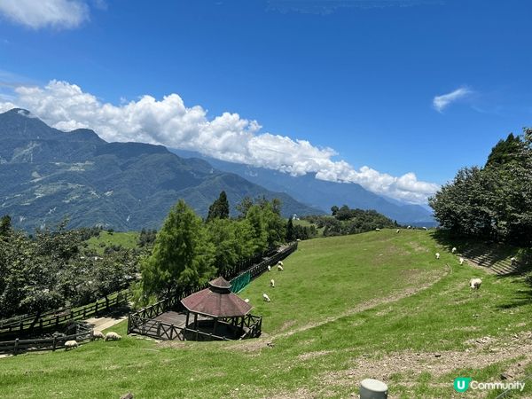 台中清境農場，位於高海拔就算天氣好熱到達清境農場也很清爽，附...