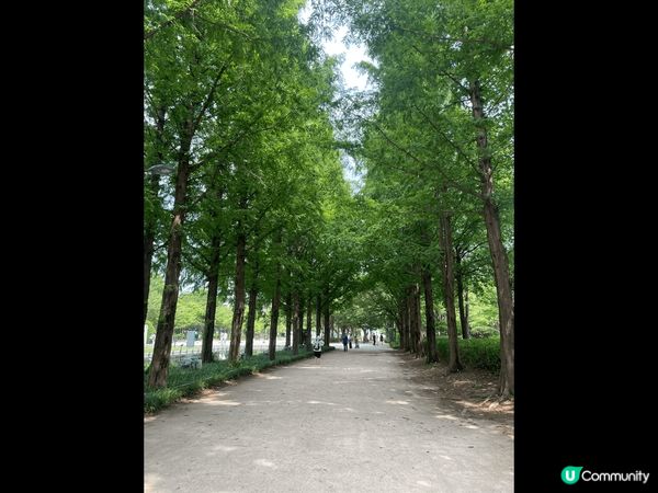 韓國既首爾林係一個值得散散步既地方，夏天的期間雖然熱但綠悠悠...