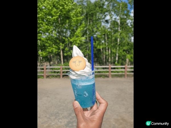 @北海道美瑛［白金青池］，樹蔭底下，藍天白雲，食住一樣藍白嘅...