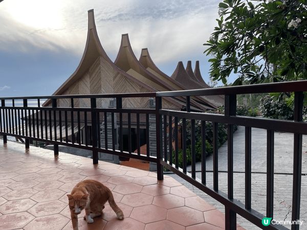 來到布吉當然要住五星Villa今次住Sinae Phuket...