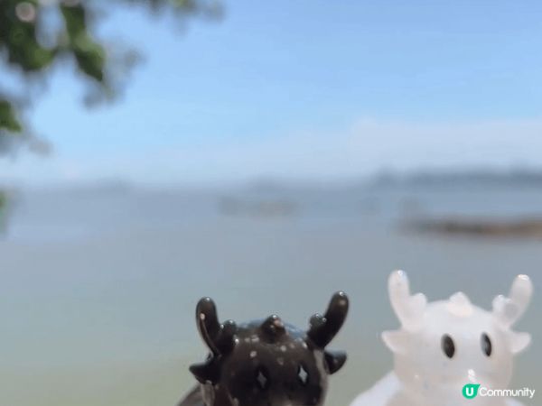 以上是東莞松山湖悅榕莊渡假酒店