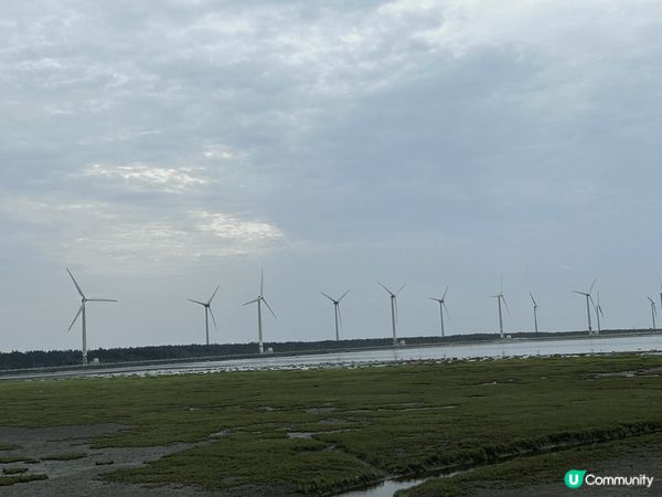 台中的高美濕地