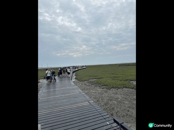 台中的高美濕地