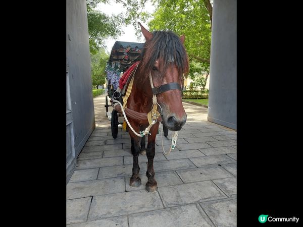 這裡係中山影視城，入面有不同國家的佈景供遊客影相，亦都有馬車...