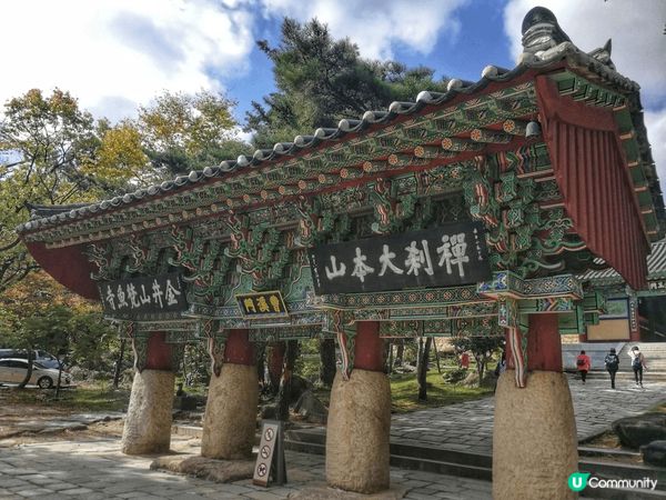 釜山之紅葉之旅，天氣清涼，風景怡人。