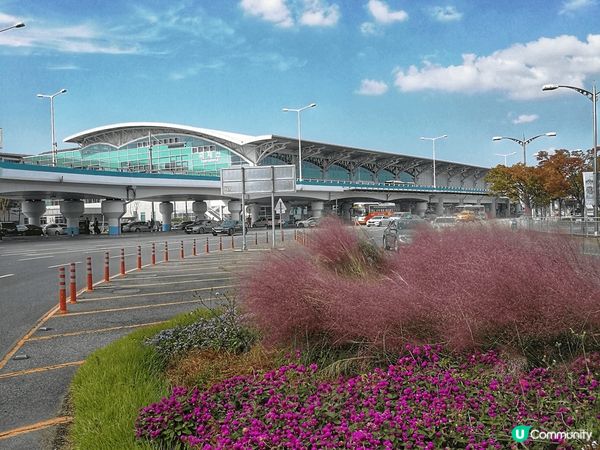 釜山之紅葉之旅，天氣清涼，風景怡人。