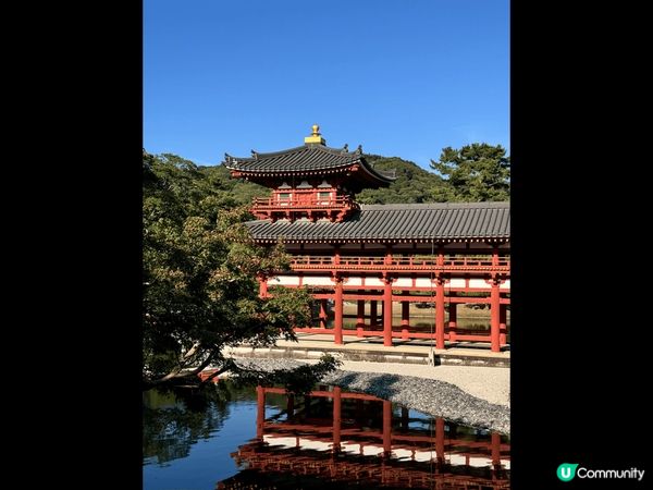 日光溫泉、奈良公園、浮見堂、平等院