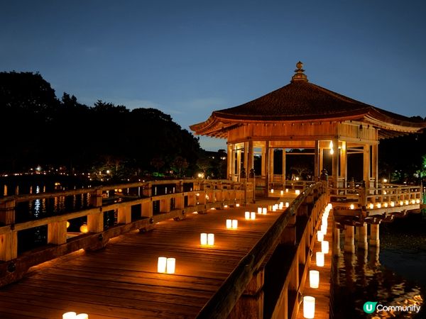 日光溫泉、奈良公園、浮見堂、平等院