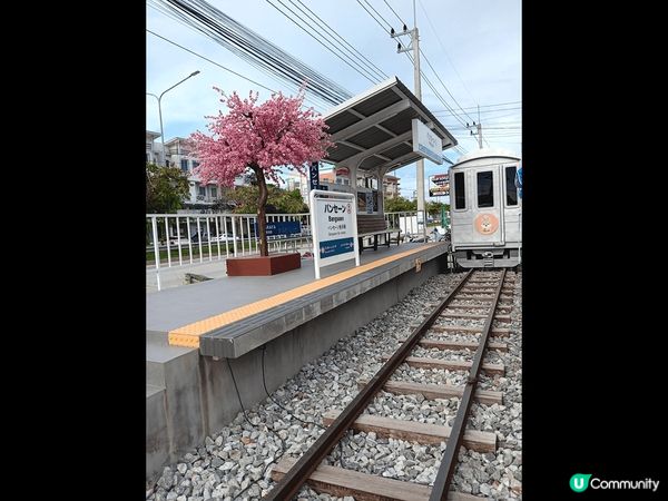 在泰國芭堤雅，我從酒店出發，駕駛電單車前往春武里新景點日本都...