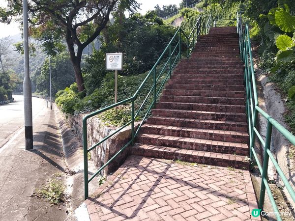 澳門大潭山郊野公園,有香港人未玩過嘅人造草滑草場, 滑草設施...