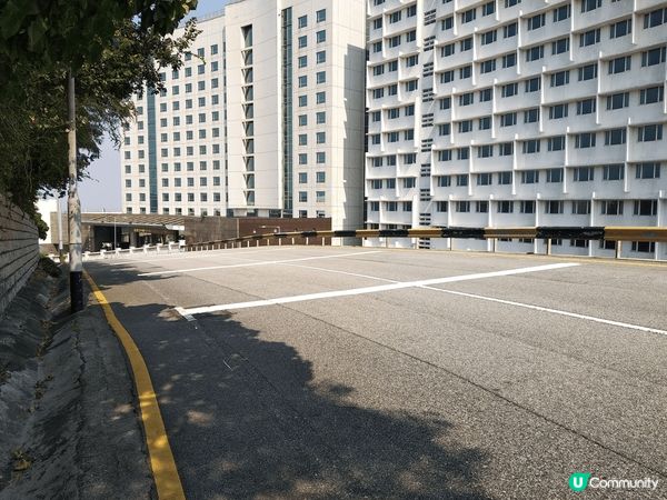 澳門大潭山郊野公園,有香港人未玩過嘅人造草滑草場, 滑草設施...