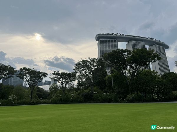 ## 新加坡野生水獺？！😱