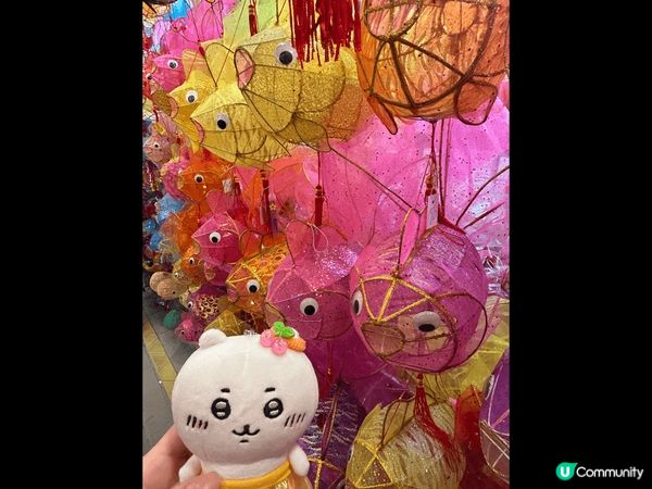 元朗大橋街市燈籠街，每逢中秋必到打卡位。