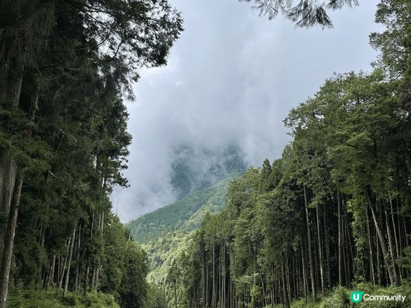 阿里山