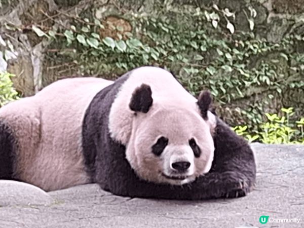 台中日泰，各地景色美食