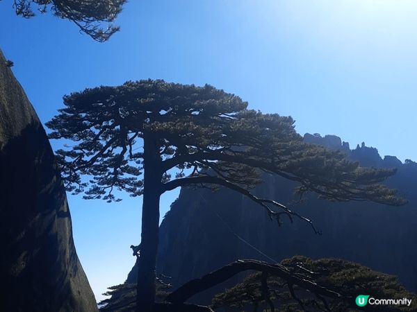 台中日泰，各地景色美食