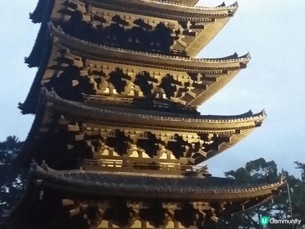 台中日泰，各地景色美食