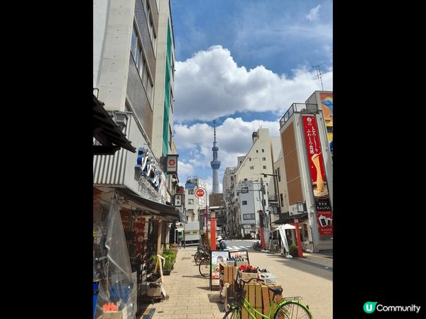 從Shibuya Sky高空拍攝的東京市；淺草晴空塔；大阪櫻...