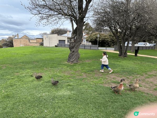 塔斯曼尼亞 和 悉尼之旅: 享受大自然與平靜的時光