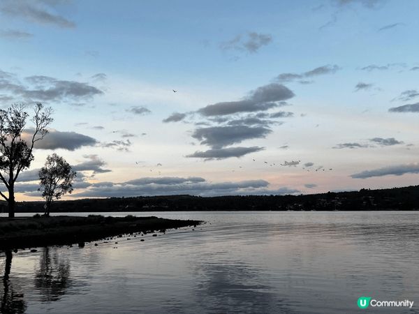 塔斯曼尼亞 和 悉尼之旅: 享受大自然與平靜的時光