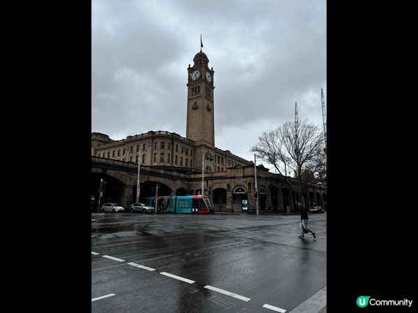 塔斯曼尼亞 和 悉尼之旅: 享受大自然與平靜的時光