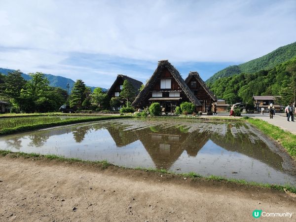 九洲由布院?泉，東京白頂富士山，夏季白川鄉
